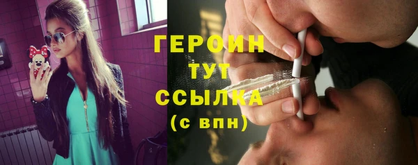 молекула духа Пересвет