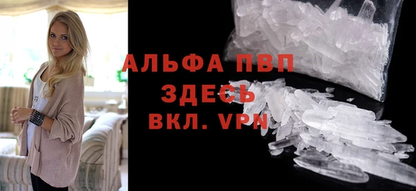 молекула духа Пересвет