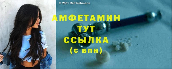 крисы Пестово