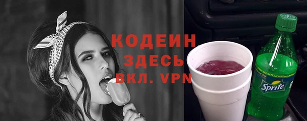 молекула духа Пересвет