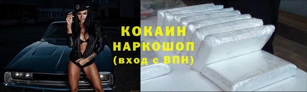 молекула духа Пересвет