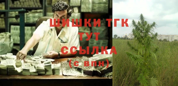 крисы Пестово