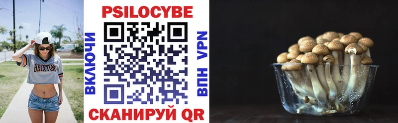 где купить наркоту  площадка Telegram  Галлюциногенные грибы ЛСД  Власиха 